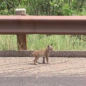 Meet your Posher, Melisa